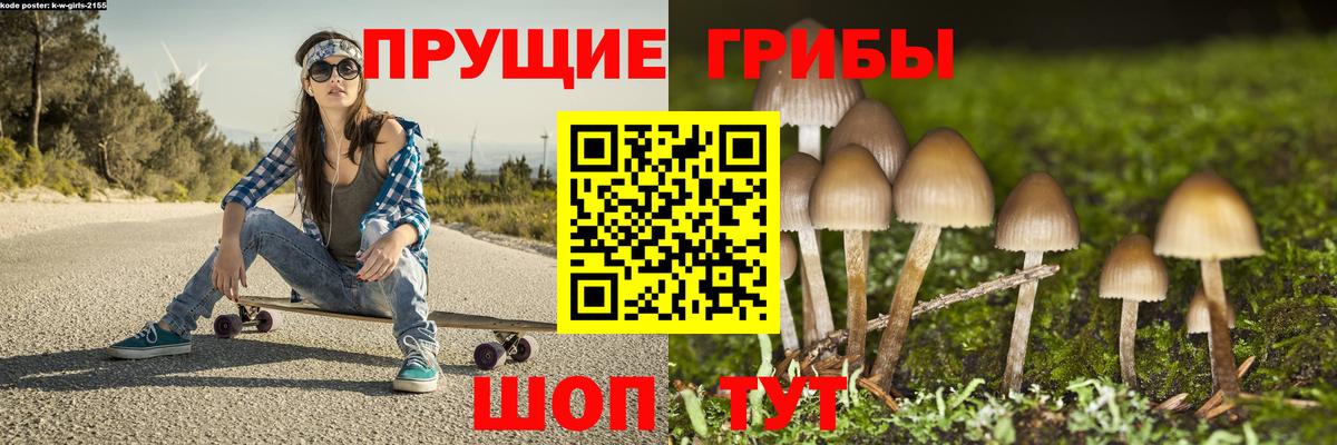 Саки  Псилоцибиновые грибы Psilocybe  Псилоцибиновые грибы мухоморы  Вход с VPN 